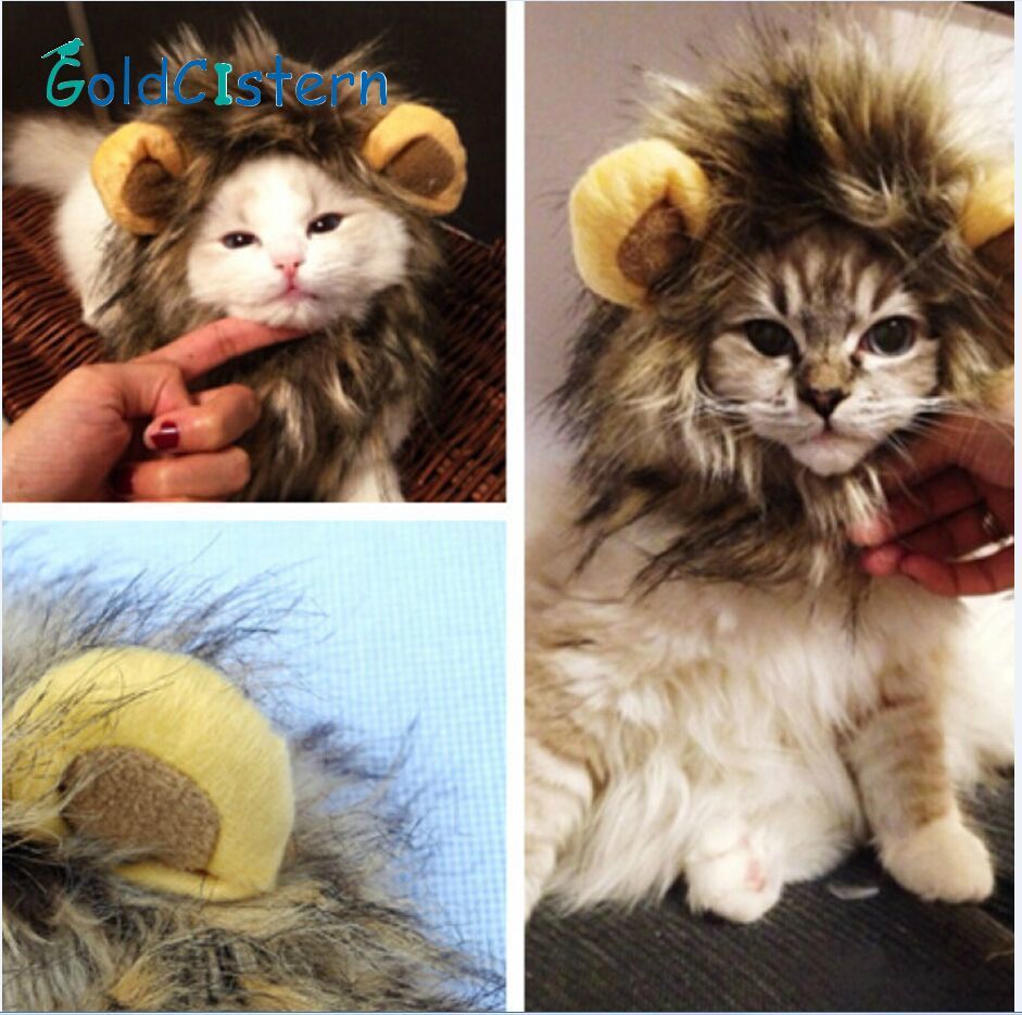 Unique Cat Costume