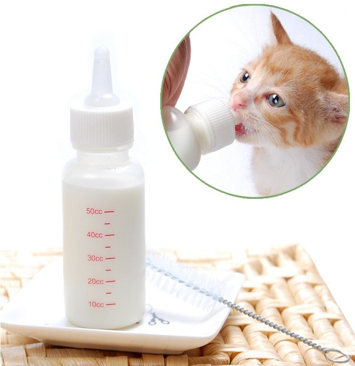 Milk Bottle for Kittens