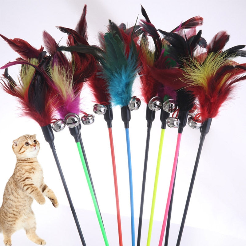 Cat Toys