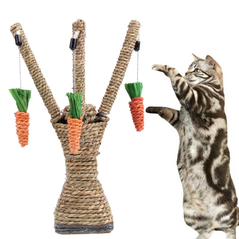Cat Chew Toy