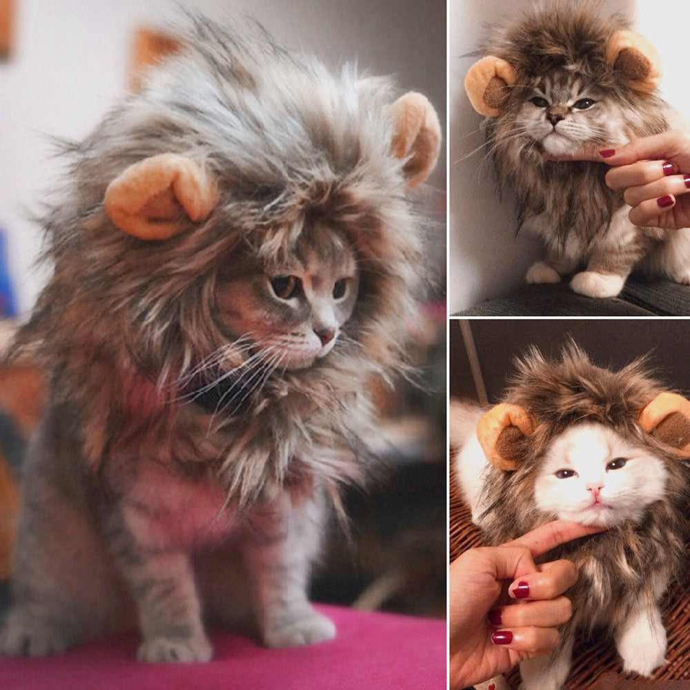 Cute Cat Costume